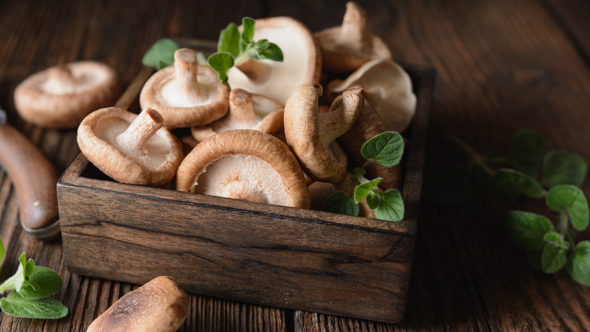 Les champignons sont-ils riches en vitamine D ?