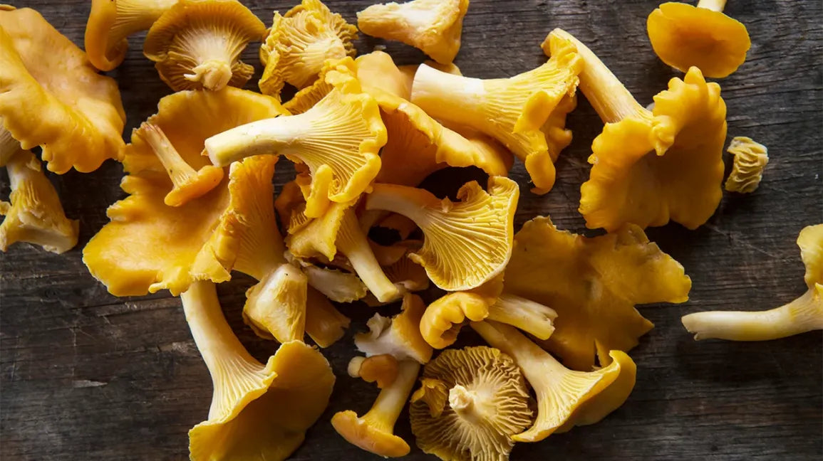Girolle : ce champignon est-il vraiment bon pour votre santé ?