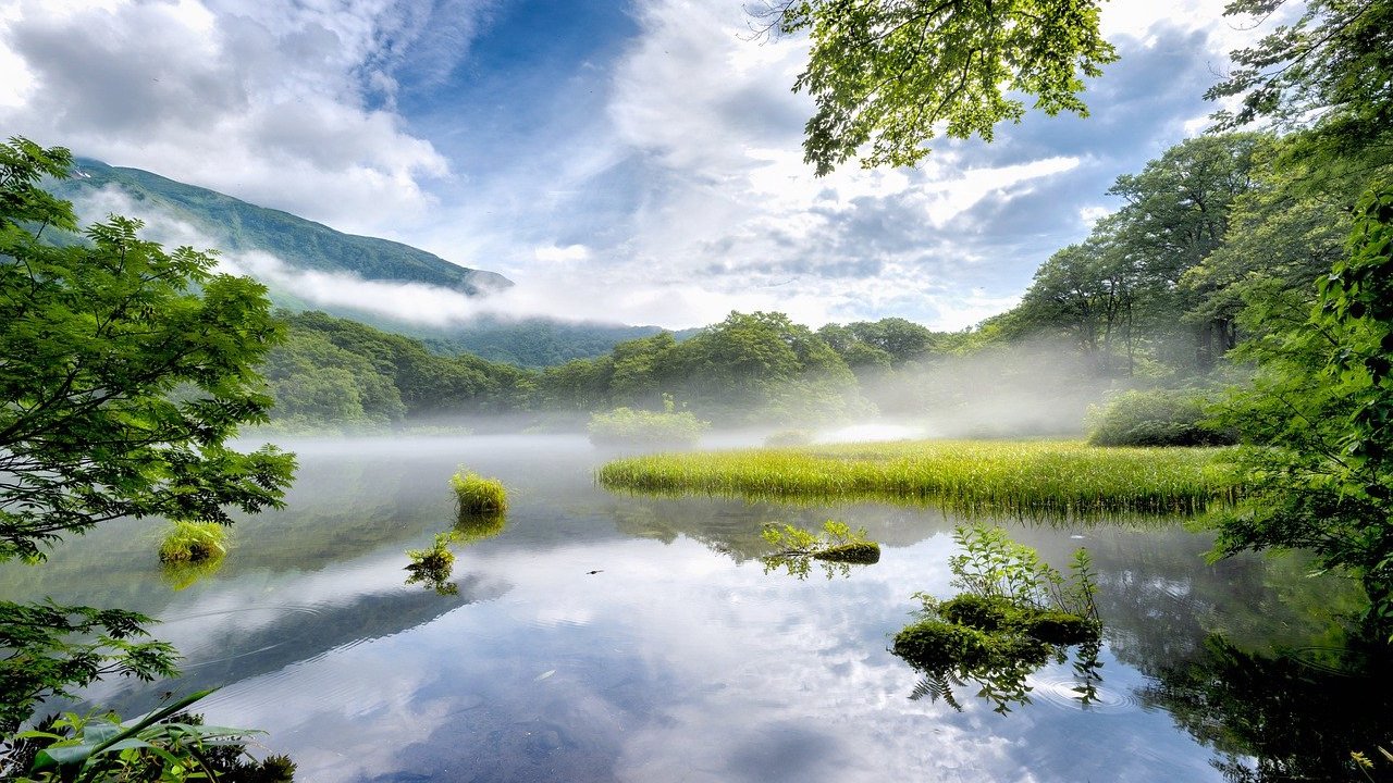 Nootropique : comment vaincre votre anxiété naturellement ?