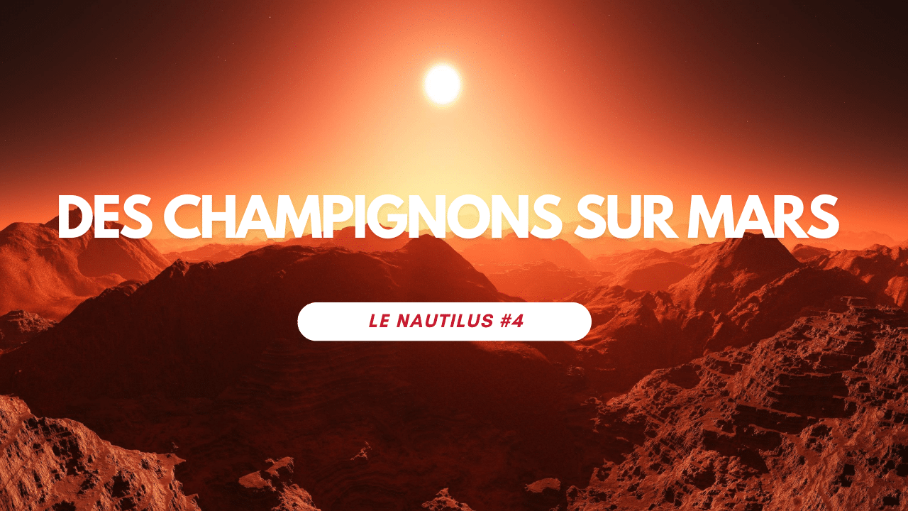 Nautilus # 4 - Des champignon sur Mars ?