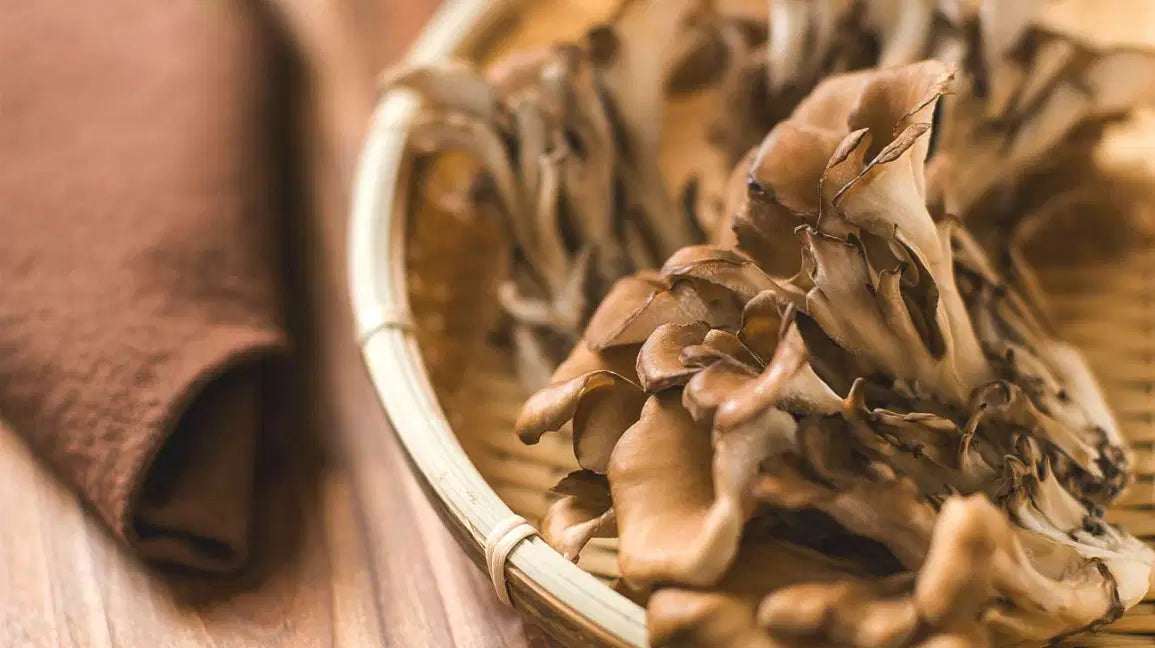 Maitake : votre nouvel allié minceur ?