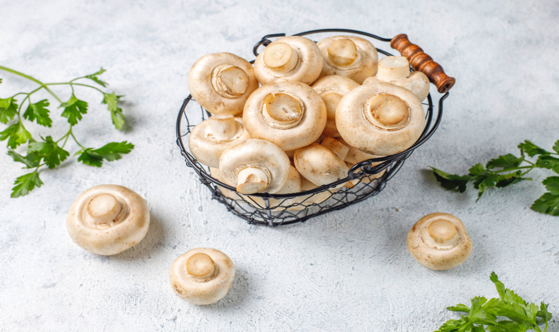 Le champignon de Paris : tout ce qu’il faut savoir