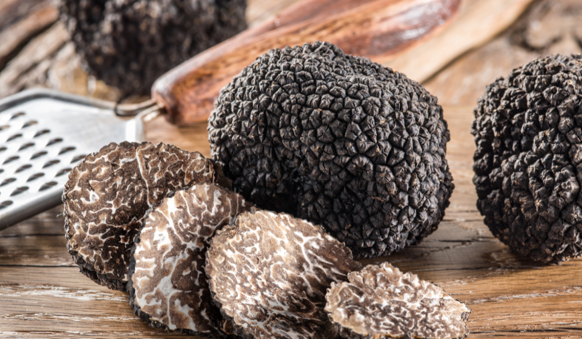 La truffe : le “diamant noir” du royaume des champignons