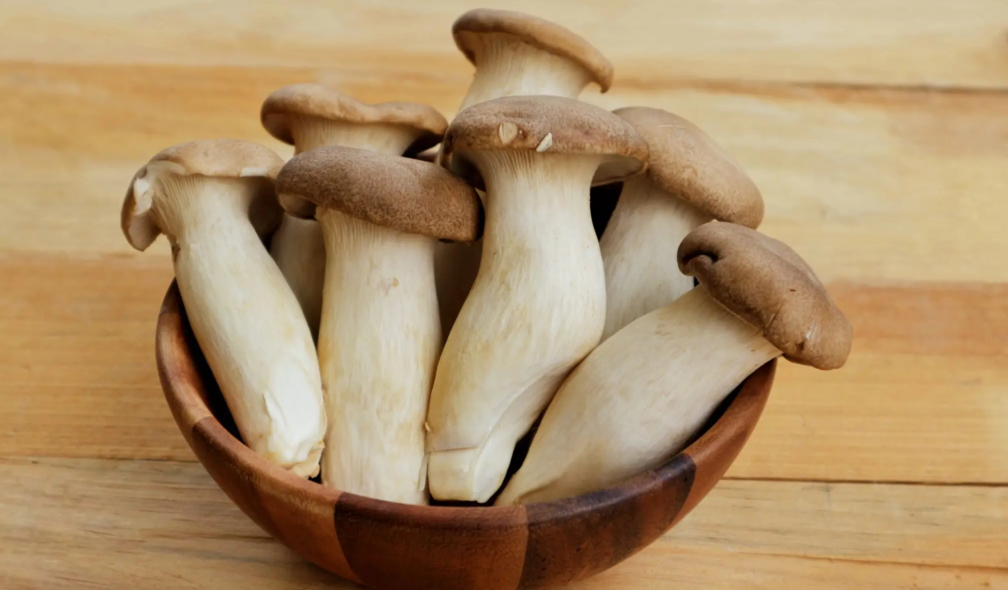 Pleurote du panicaut : le fils oublié de la famille pleurote