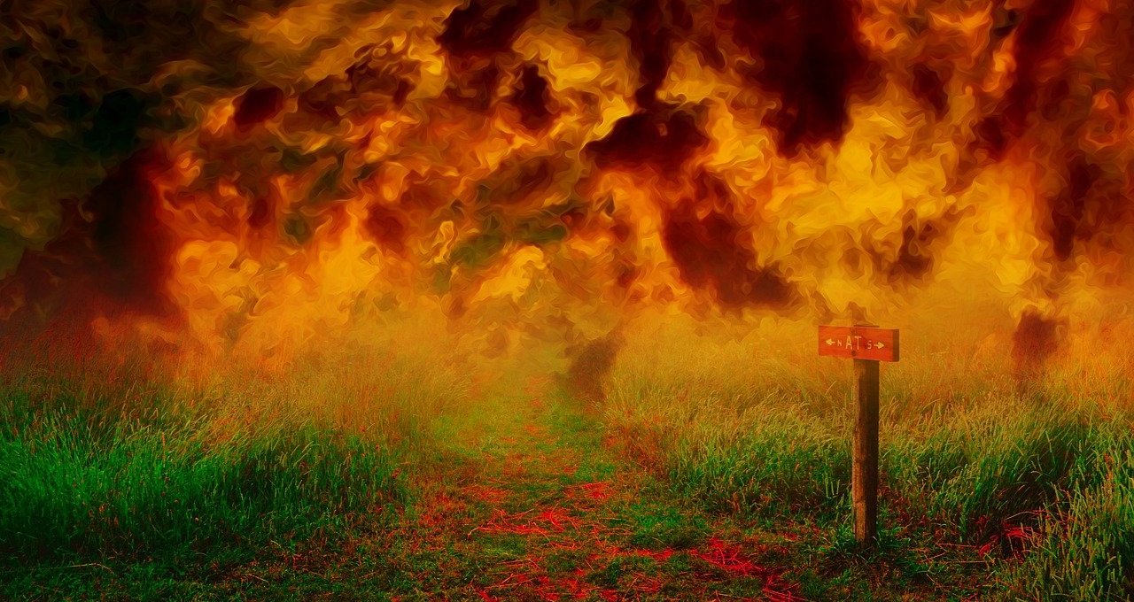 «The last of us » : la vérité sur le champignon zombie