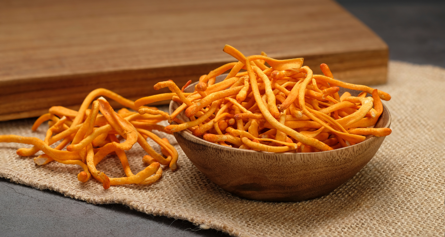 Le cordyceps est-il dangereux pour l’homme ?