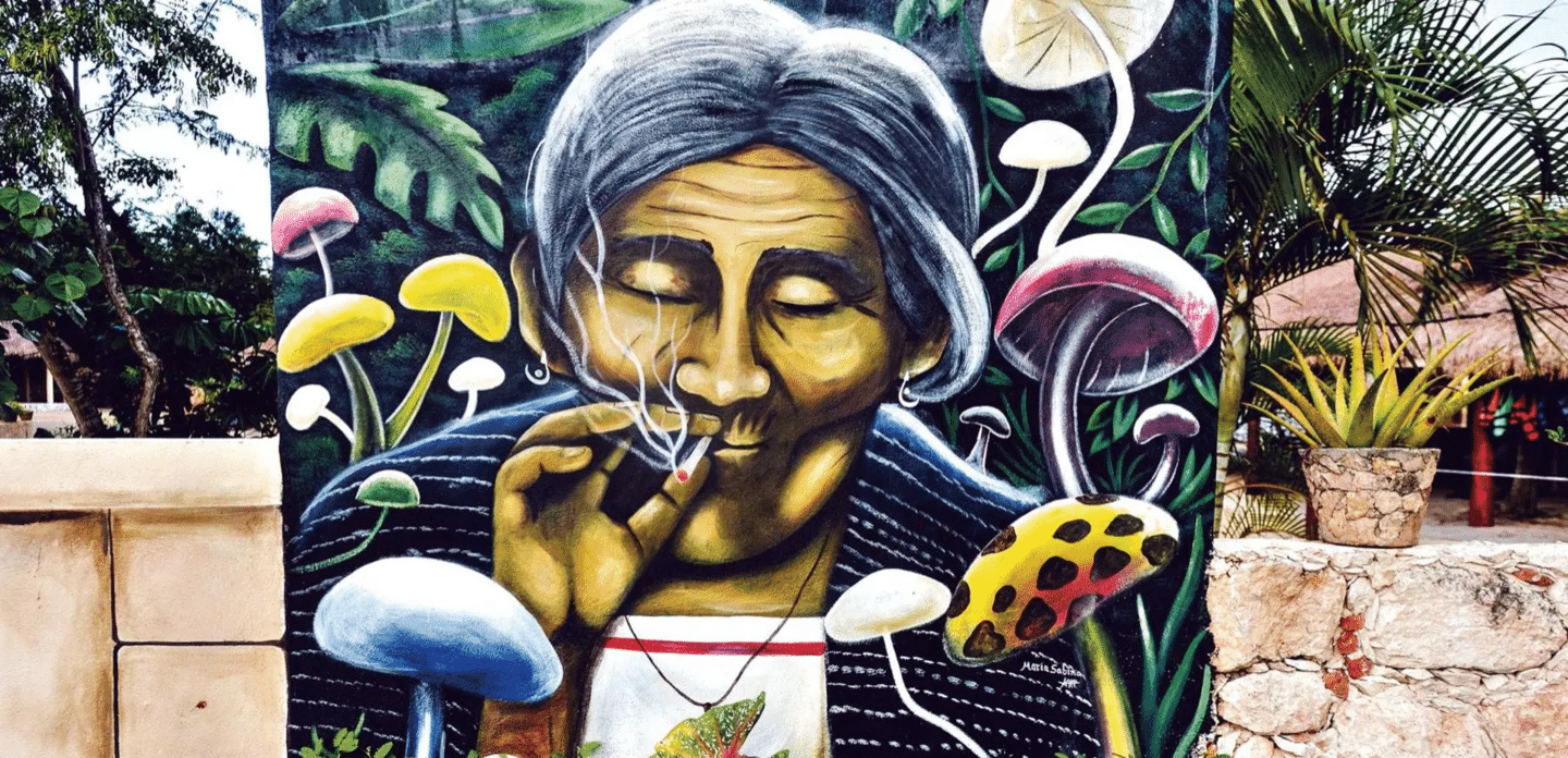Maria Sabina : l’incroyable histoire de la reine des champignons sacrés