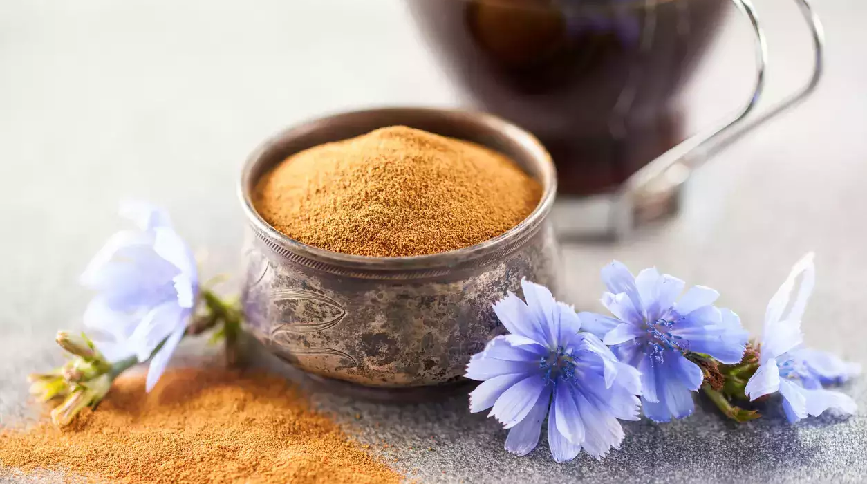 Chicorée : la meilleure alternative au café ?
