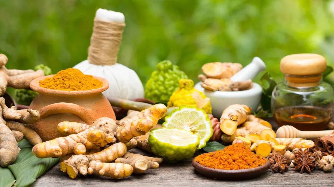 Interview de Lila Kaki, naturopathe