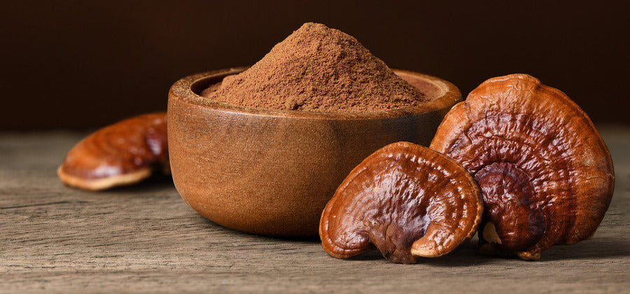 Le reishi : un trésor anti-âge pour la peau ?