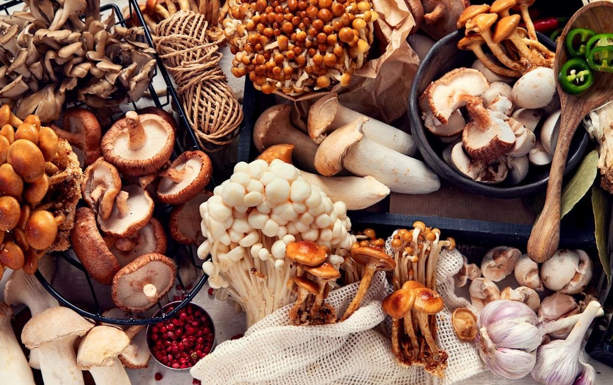 Les champignons adaptogènes sont-ils dangereux ?