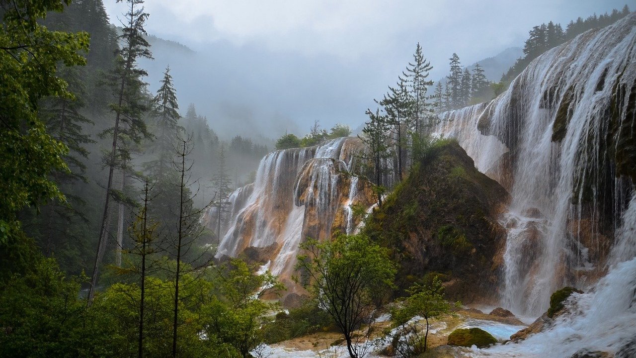 Le paradoxe du non agir (wu wei) : existe-t-il une formule taoïste pour lâcher prise ?