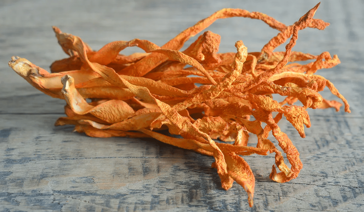 Le cordyceps : un champignon contre l’hypertension ?