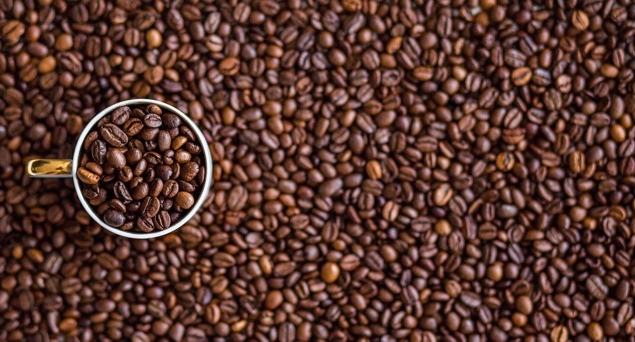 Est-ce que les champignons sont bon pour le sport ?