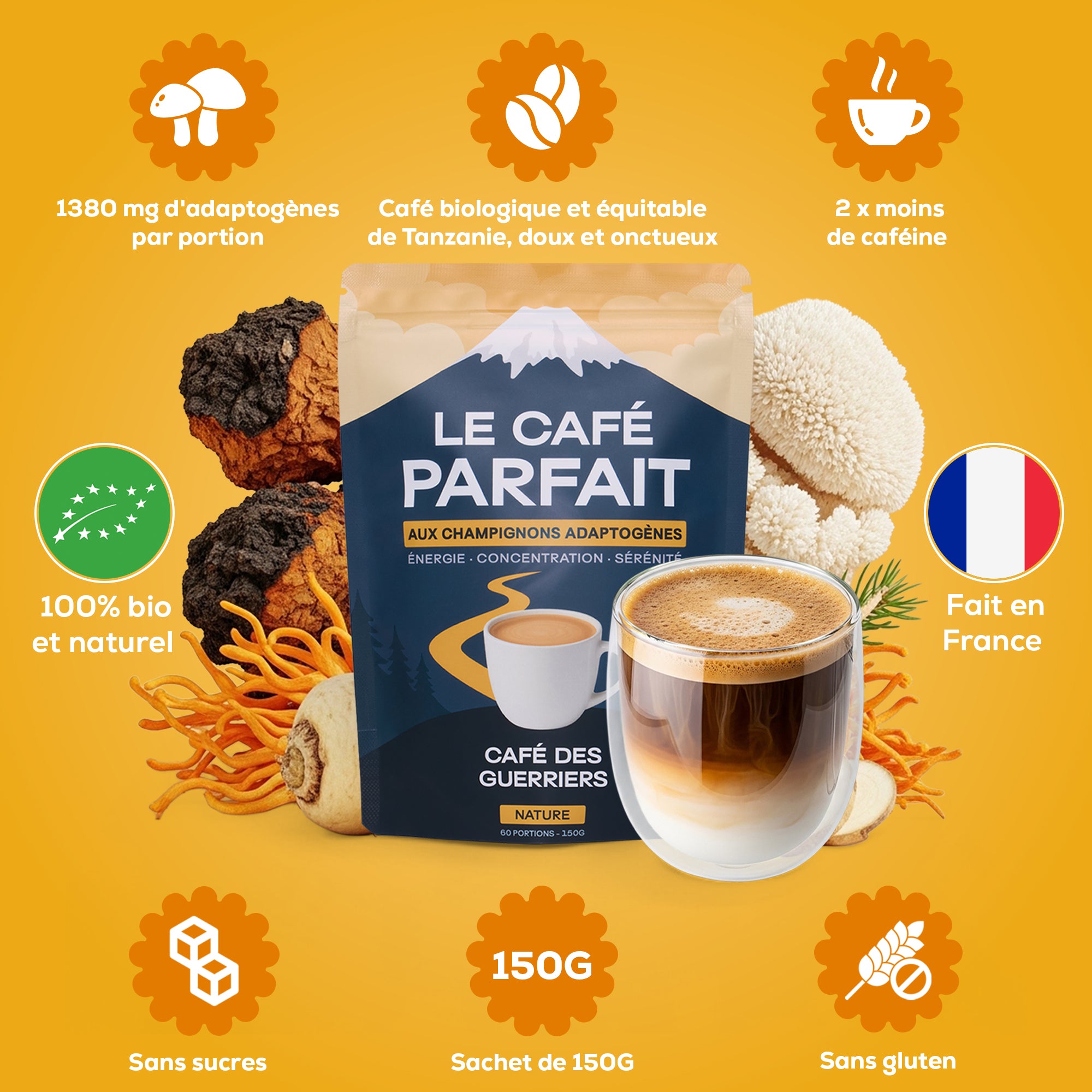 Pack Découverte