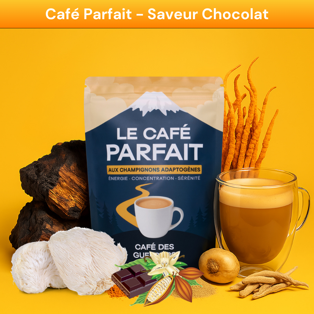 Pack Découverte