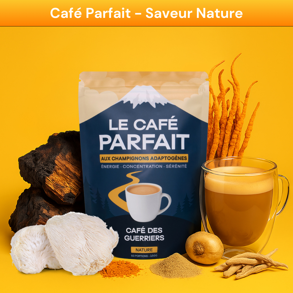 Pack Découverte