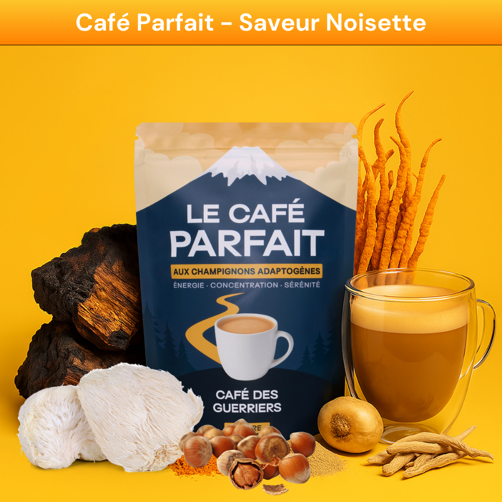 Pack Découverte
