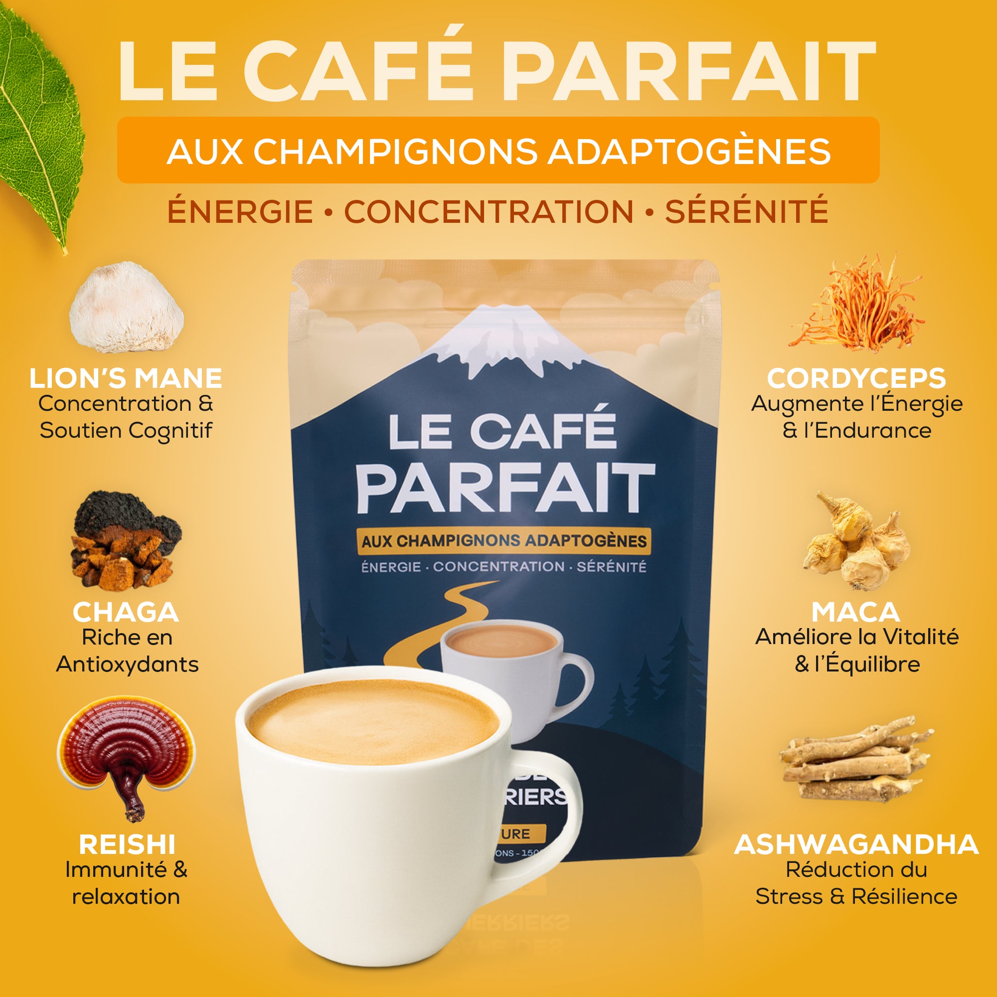 Le Café Parfait