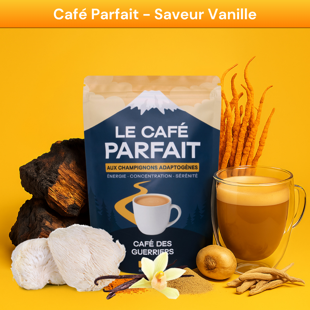 Pack Découverte
