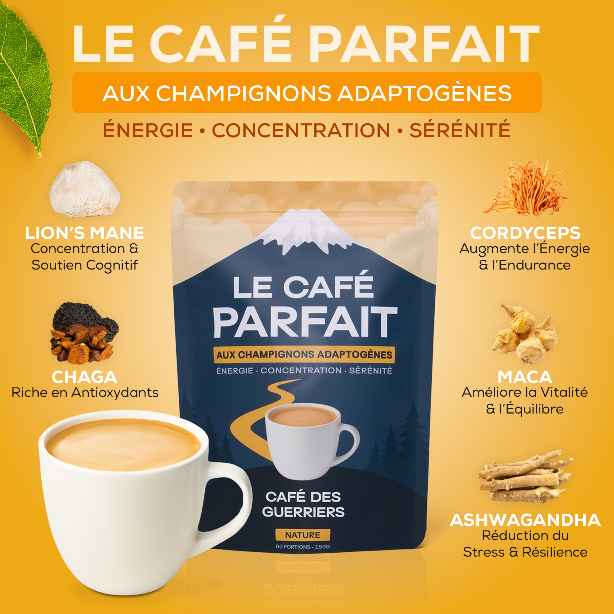 Pack Découverte