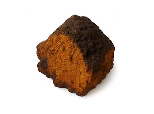 Chaga