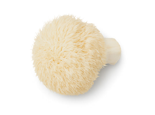 Lion's Mane