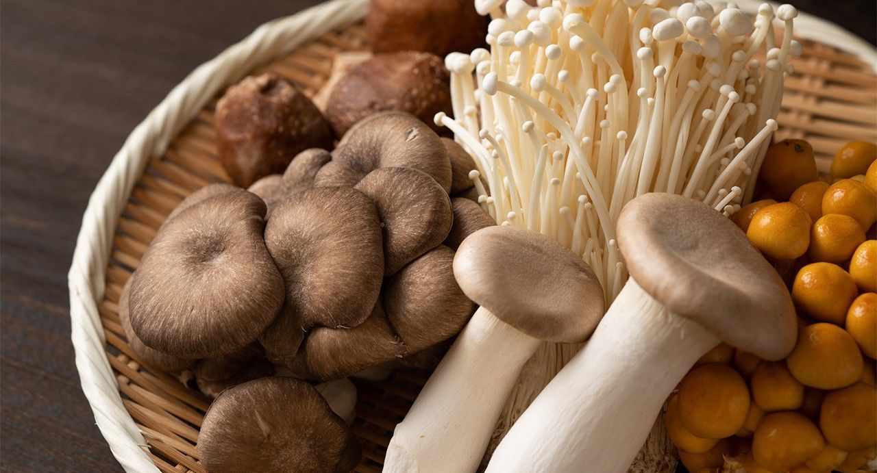 Les 7 champignons les plus appréciés des japonais