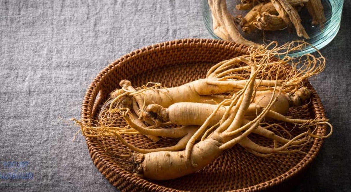 Plantes aphrodisiaques chinoises pour la libido masculine