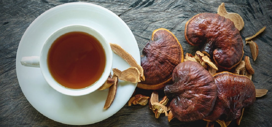Café ganoderma : une alternative saine au café pour se réveiller ?