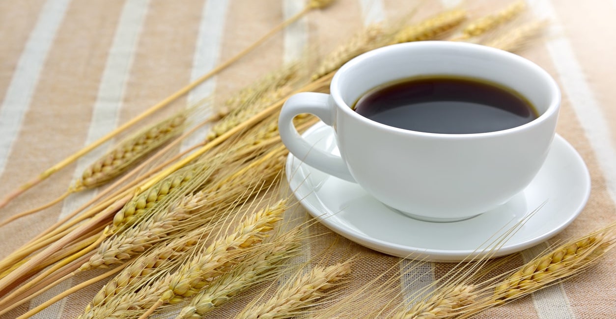 Le café d’orge : une bonne alternative au café sans caféine ?