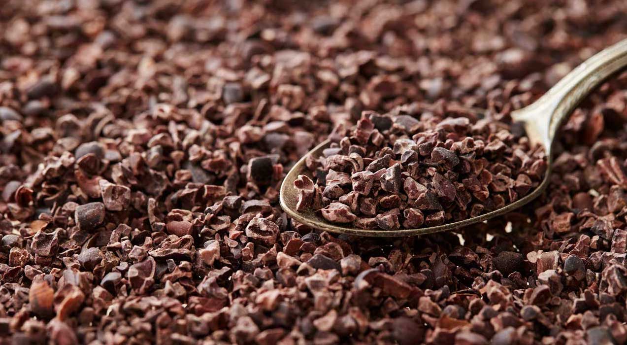 Le criollo : le meilleur cacao du monde ?