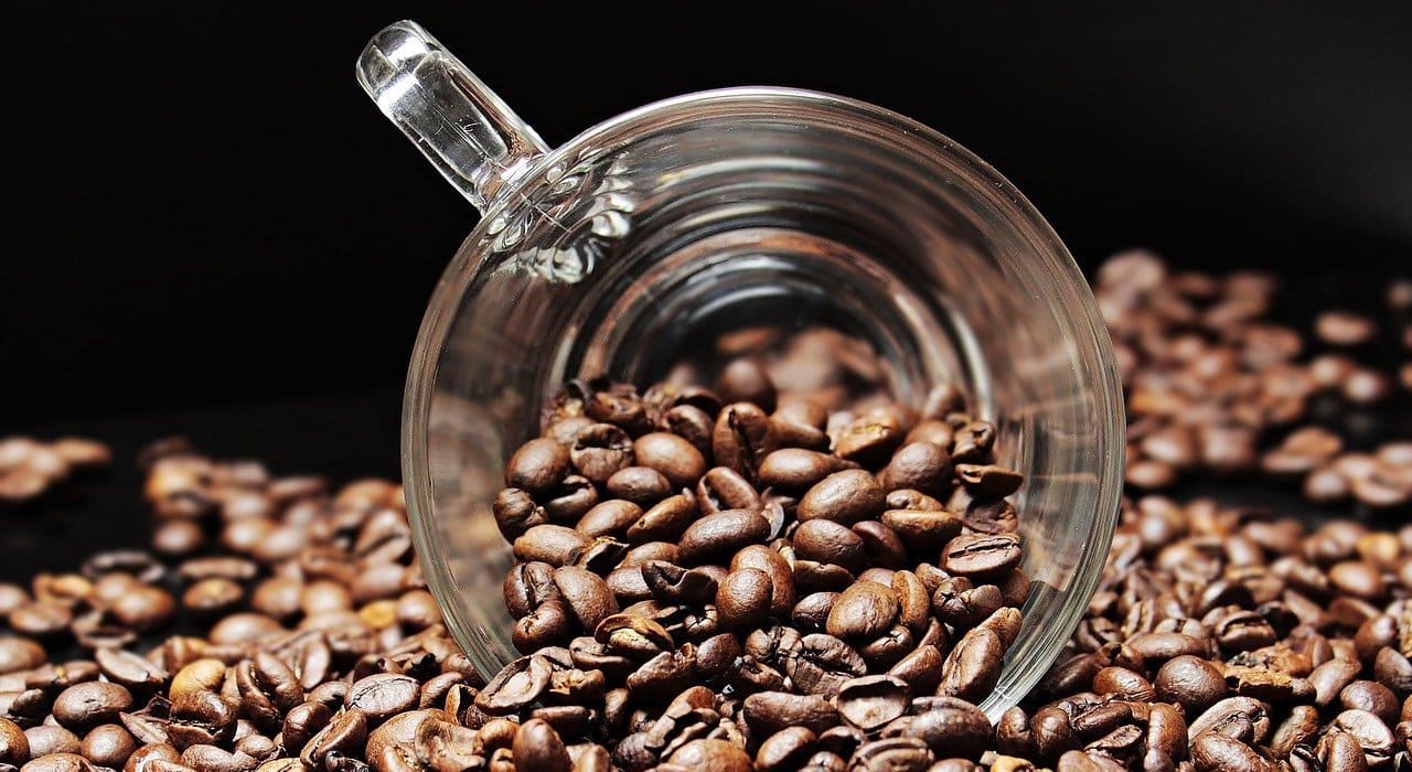 Le café : le nootropique naturel le plus populaire
