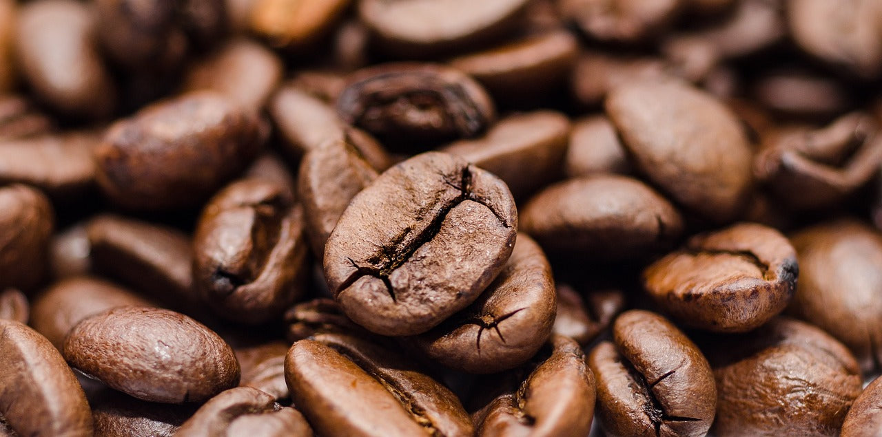 Kopi luwak : pourquoi ce café est le plus cher du monde ?