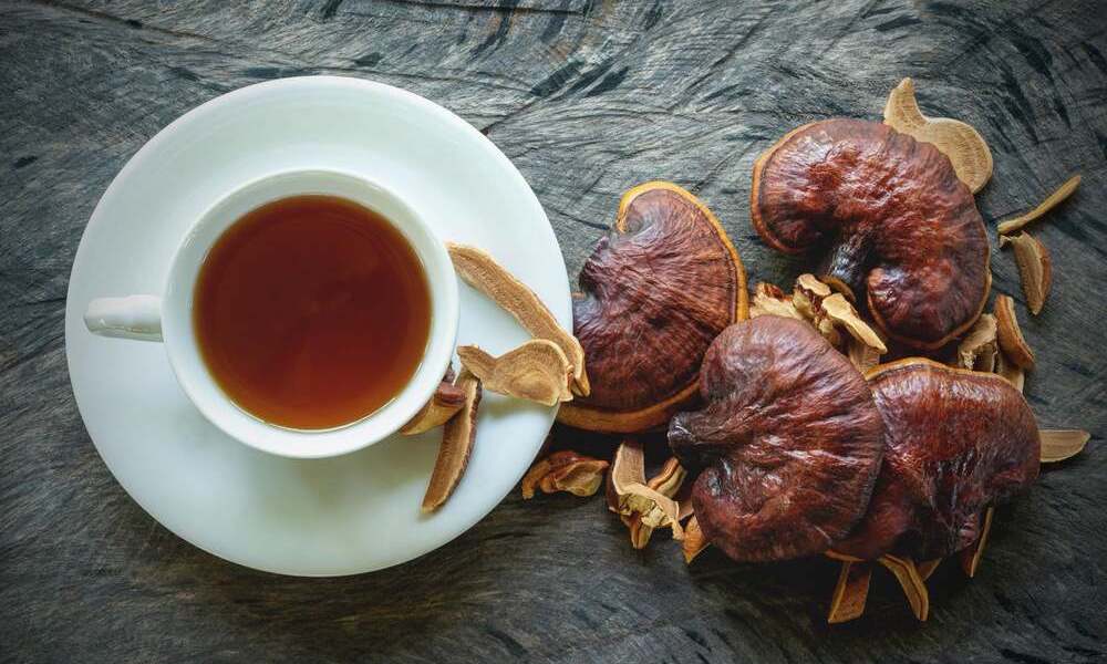 Le champignon Reishi a-t-il des bienfaits avec le café ?