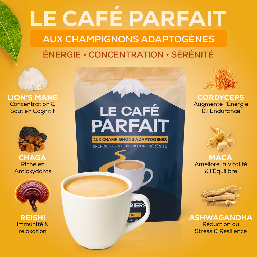 Le Café Parfait
