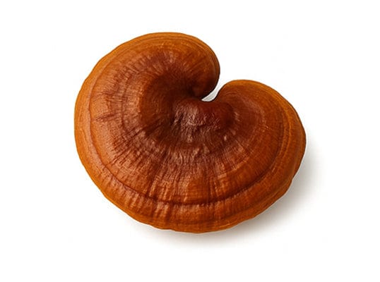Reishi